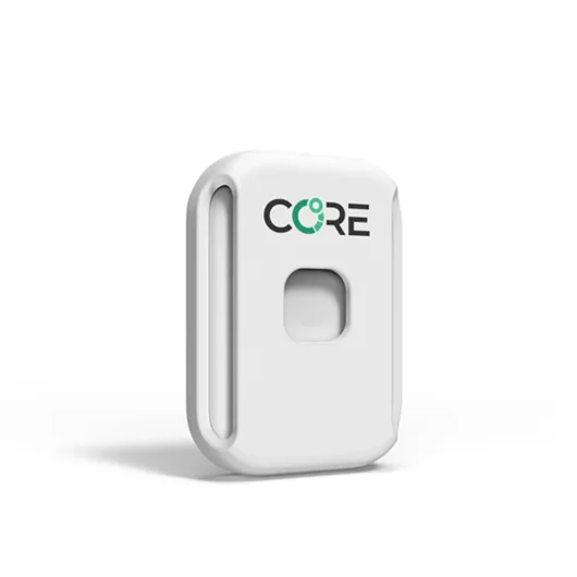 Core 2 Thermal Sensor