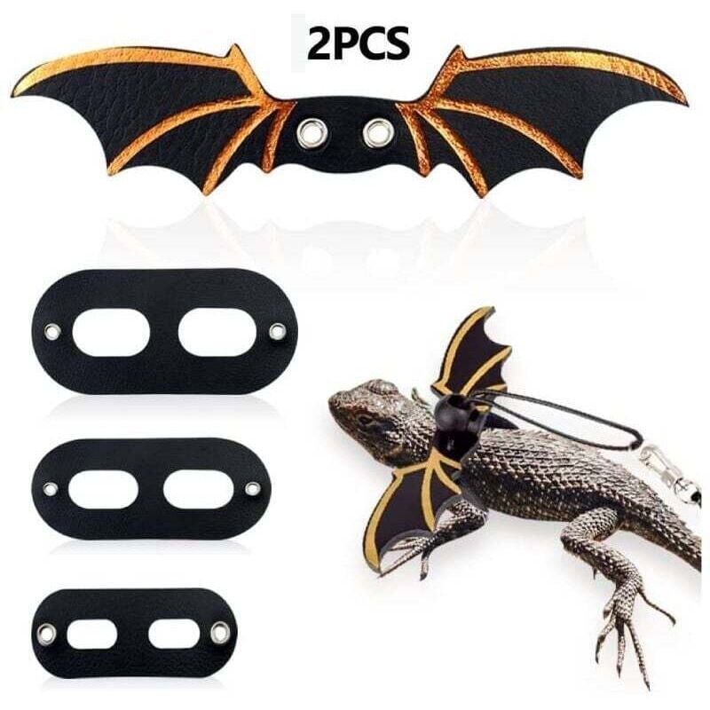 Pack Adjustable Lizard Leash, Winged Bearded Dragon Harness, Soft Leash for Reptiles, Leopard Geckos, Amphibians and Other Small Animals (Black) mumu