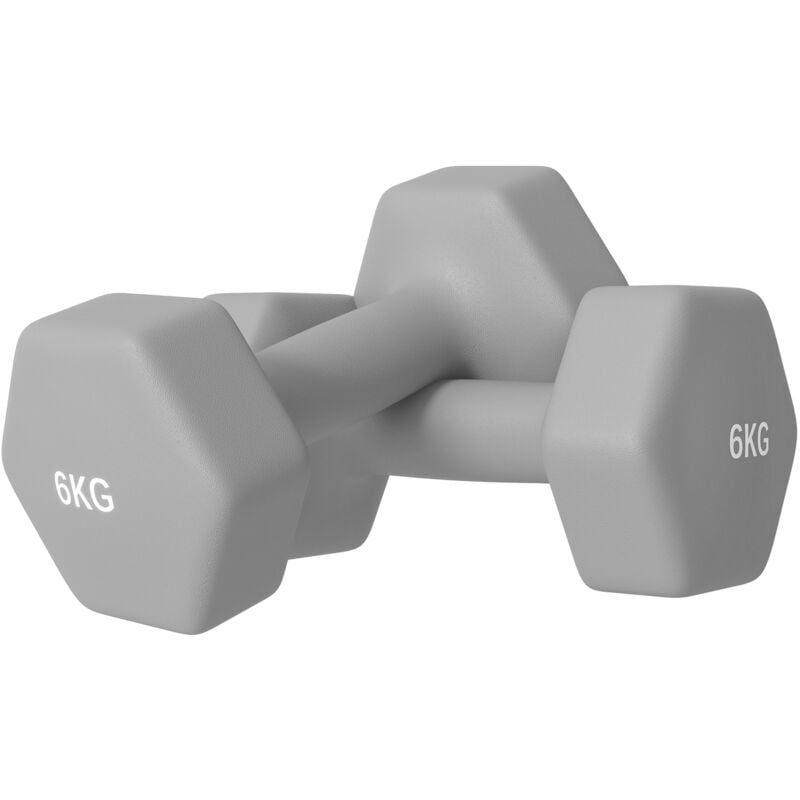 Sportnow - Hexagonal Dumbbells Weights Pair 2 x 6kg-Grey
