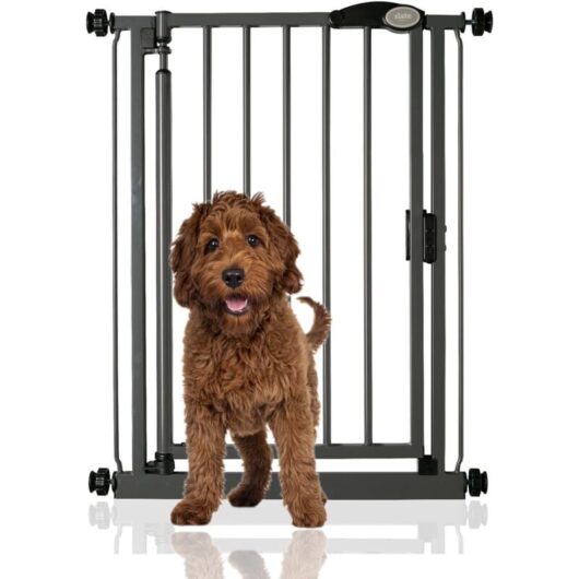 Bettacare - Auto Close Pet Gate, 68.5cm - 75cm, Slate Grey, Narrow, Narrow Pressure Fit Stair Gate for Dog & Puppy