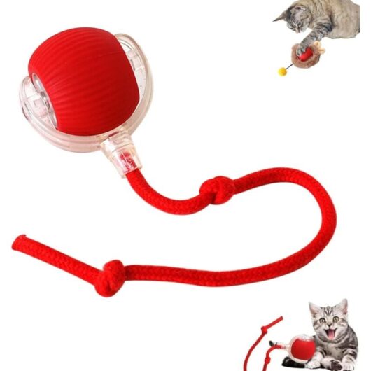 Interactive Cat Ball - Electric Cat Toy - USB Rechargeable - 3 Operating Modes - 360° Rotation - For Cats and Dogs - Red
