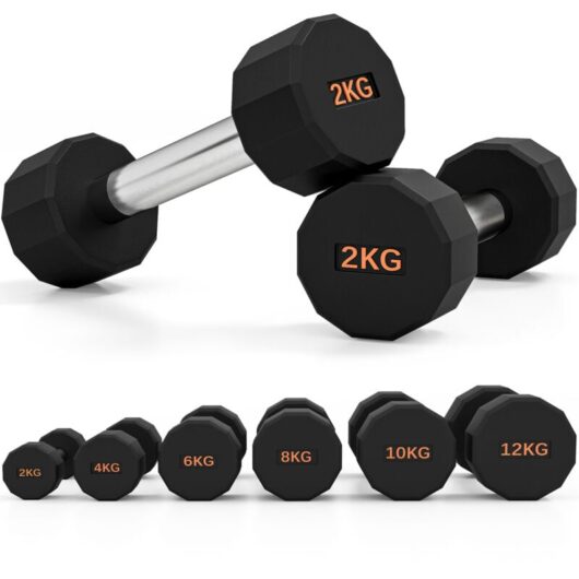 Sportnow - Dumbbells Weights Set with 12-Sided Shape and Non-Slip Grip 2 x 2kg