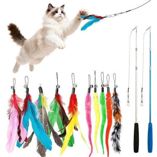 12pcs Interactive Cat Toys, Retractable Fishing Rod and Replacement Feather Toy with Bell, Interactive Catcher and Funny for Indoor Cats