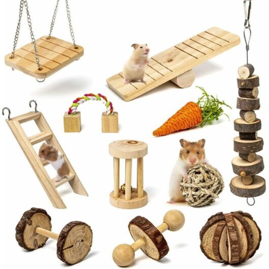 Hamster Chew Toys Small Animals Boredom Breakers Cage Accessories Pet 11 Pcs Natural Wooden Toys